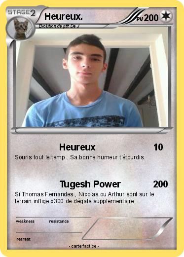 Pokemon Heureux.