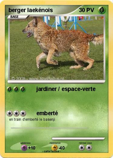 Pokemon berger laekénois