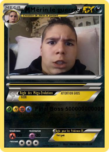 Pokemon Mérin le guerrier
