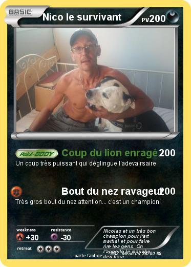 Pokemon Nico le survivant