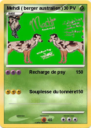 Pokemon Mehdi ( berger australien )