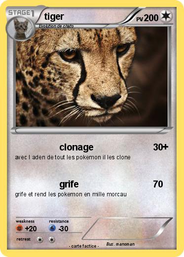 Pokemon tiger