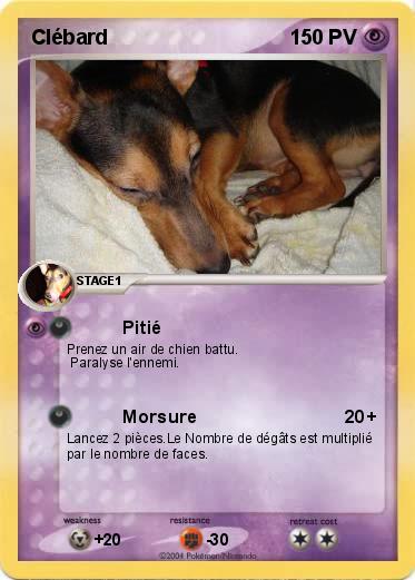 Pokemon Clébard