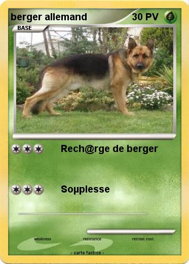 Pokemon berger allemand