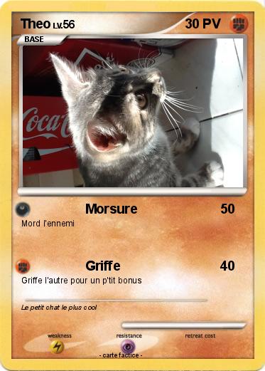 Pokemon Theo
