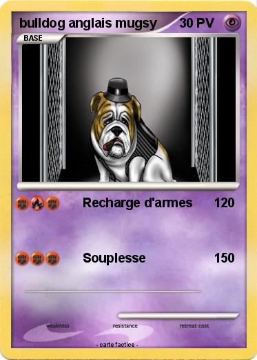 Pokemon bulldog anglais mugsy