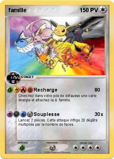 Pokemon famille