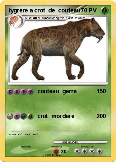 Pokemon tygrere a crot  de  couteau