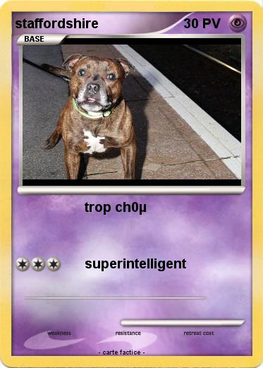 Pokemon staffordshire