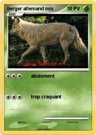 Pokemon berger allemand mix