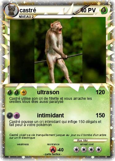 Pokemon castré