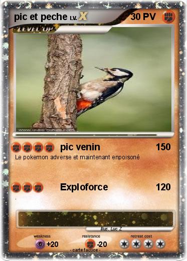 Pokemon pic et peche