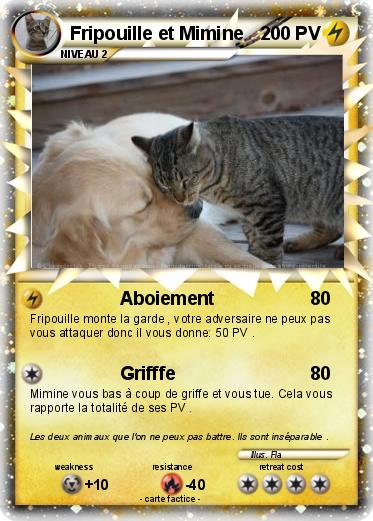 Pokemon Fripouille et Mimine