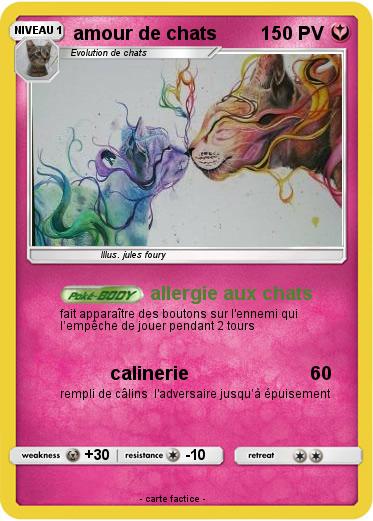 Pokemon amour de chats