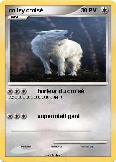 Pokemon colley croisé