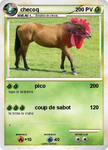 Pokemon checoq