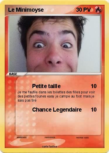Pokemon Le Minimoyse
