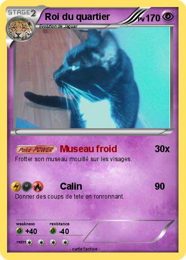 Pokemon Roi du quartier