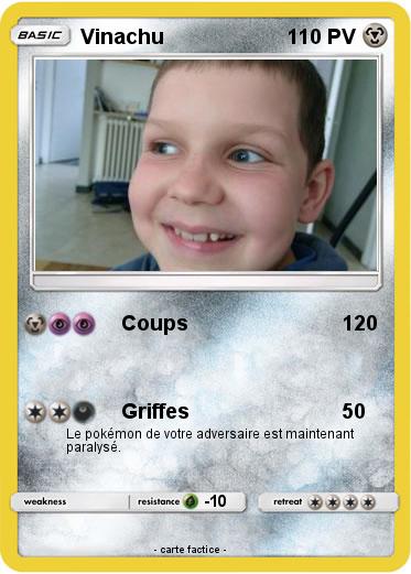 Pokemon Vinachu