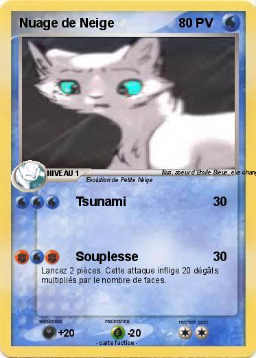 Pokemon Nuage de Neige