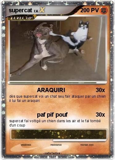 Pokemon supercat