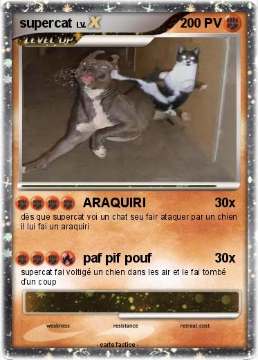 Pokemon supercat