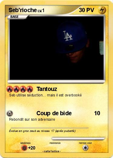 Pokemon Seb'rioche