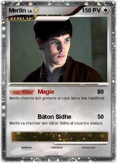 Pokemon Merlin