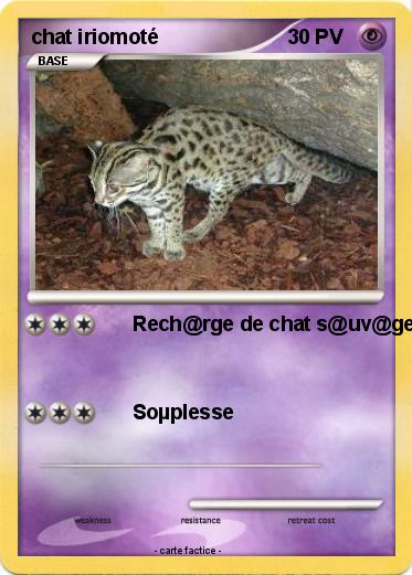 Pokemon chat iriomoté