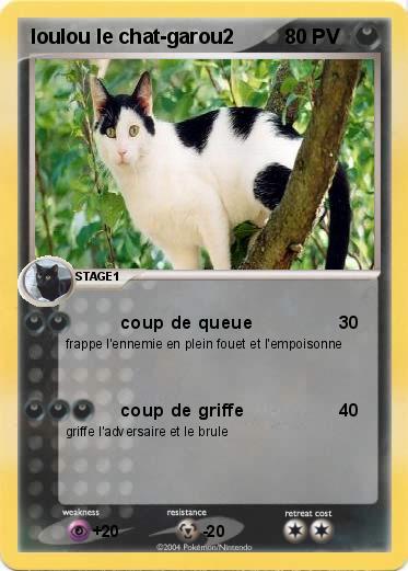 Pokemon loulou le chat-garou2