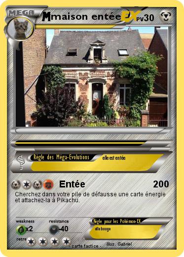 Pokemon maison entée