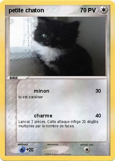 Pokemon petite chaton