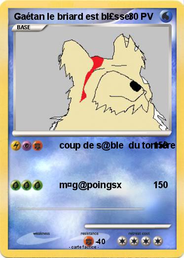 Pokemon Gaétan le briard est bl£sser