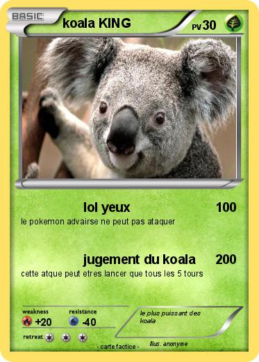 Pokemon koala KING