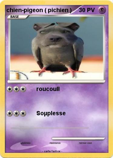 Pokemon chien-pigeon ( pichien )