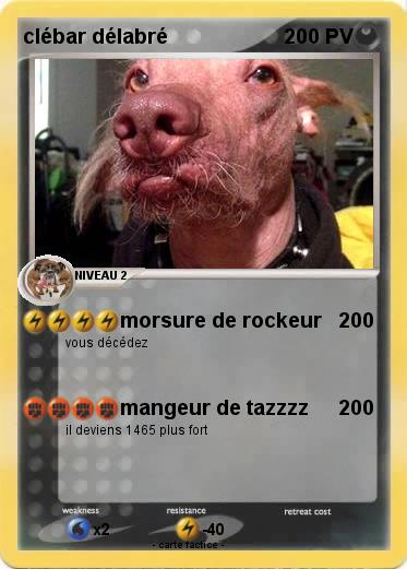 Pokemon clébar délabré