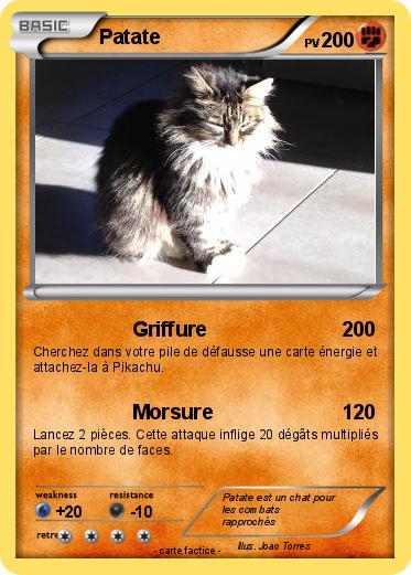 Pokemon Patate