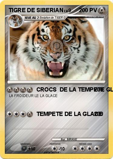 Pokemon TIGRE DE SIBERIAN