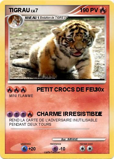 Pokemon TIGRAU