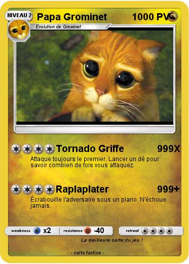 Pokemon Papa Grominet