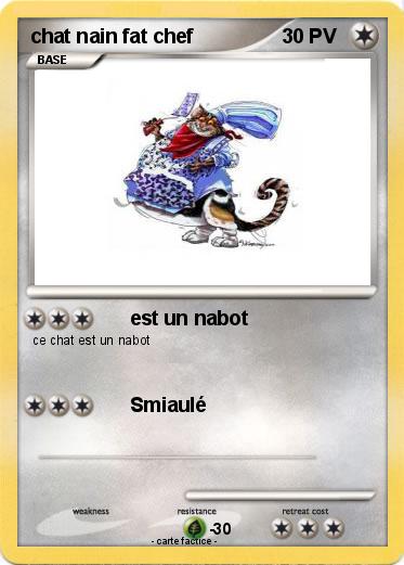 Pokemon chat nain fat chef