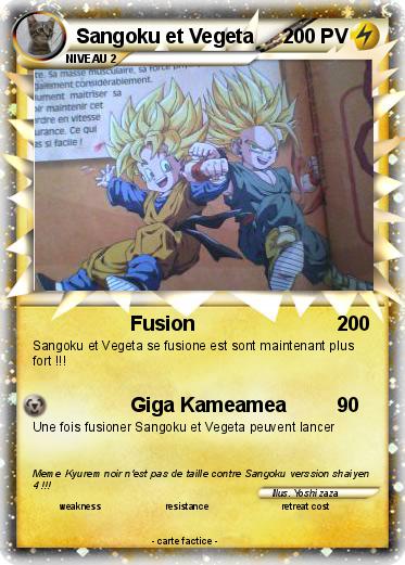 Pokemon Sangoku et Vegeta