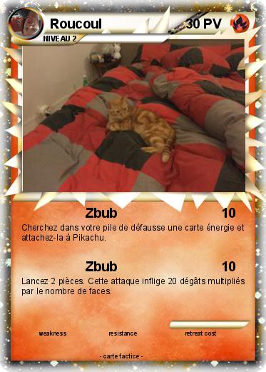Pokemon Roucoul