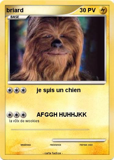 Pokemon briard