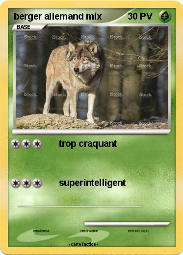 Pokemon berger allemand mix
