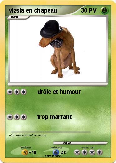 Pokemon vizsla en chapeau