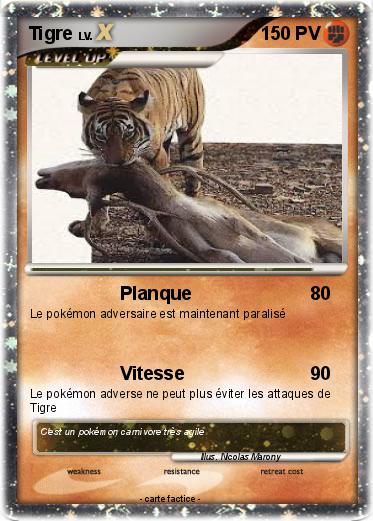 Pokemon Tigre