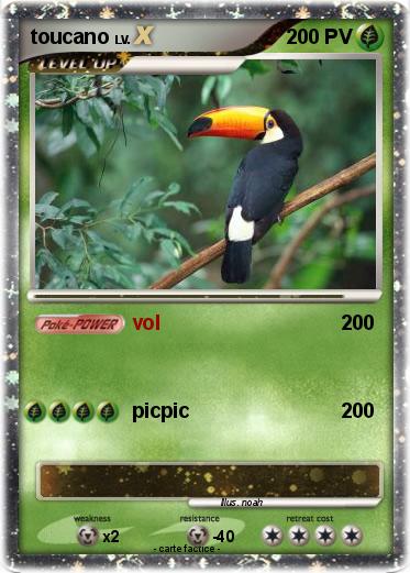 Pokemon toucano