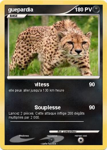 Pokemon guepardia