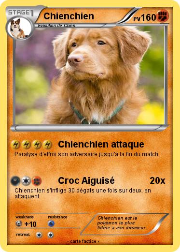 Pokemon Chienchien